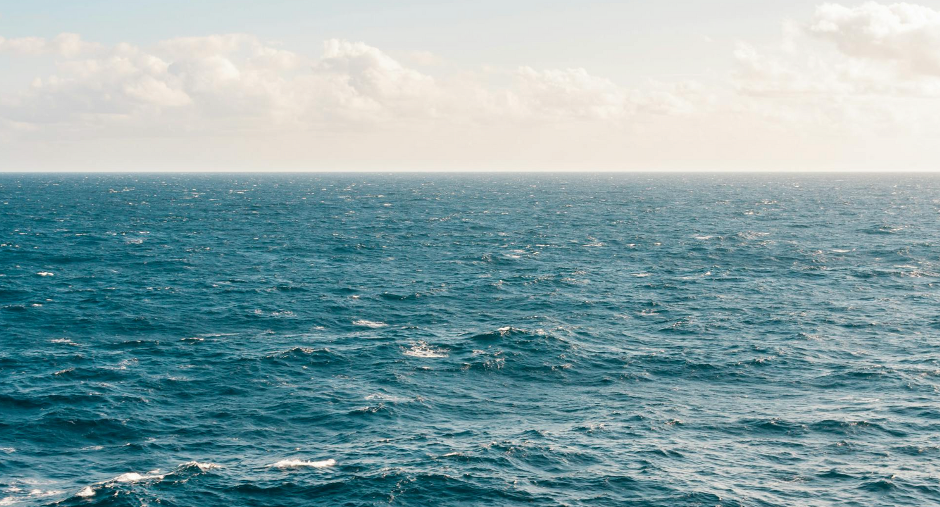 PDRN in skincare: trend alert in 2025 🧬🐟