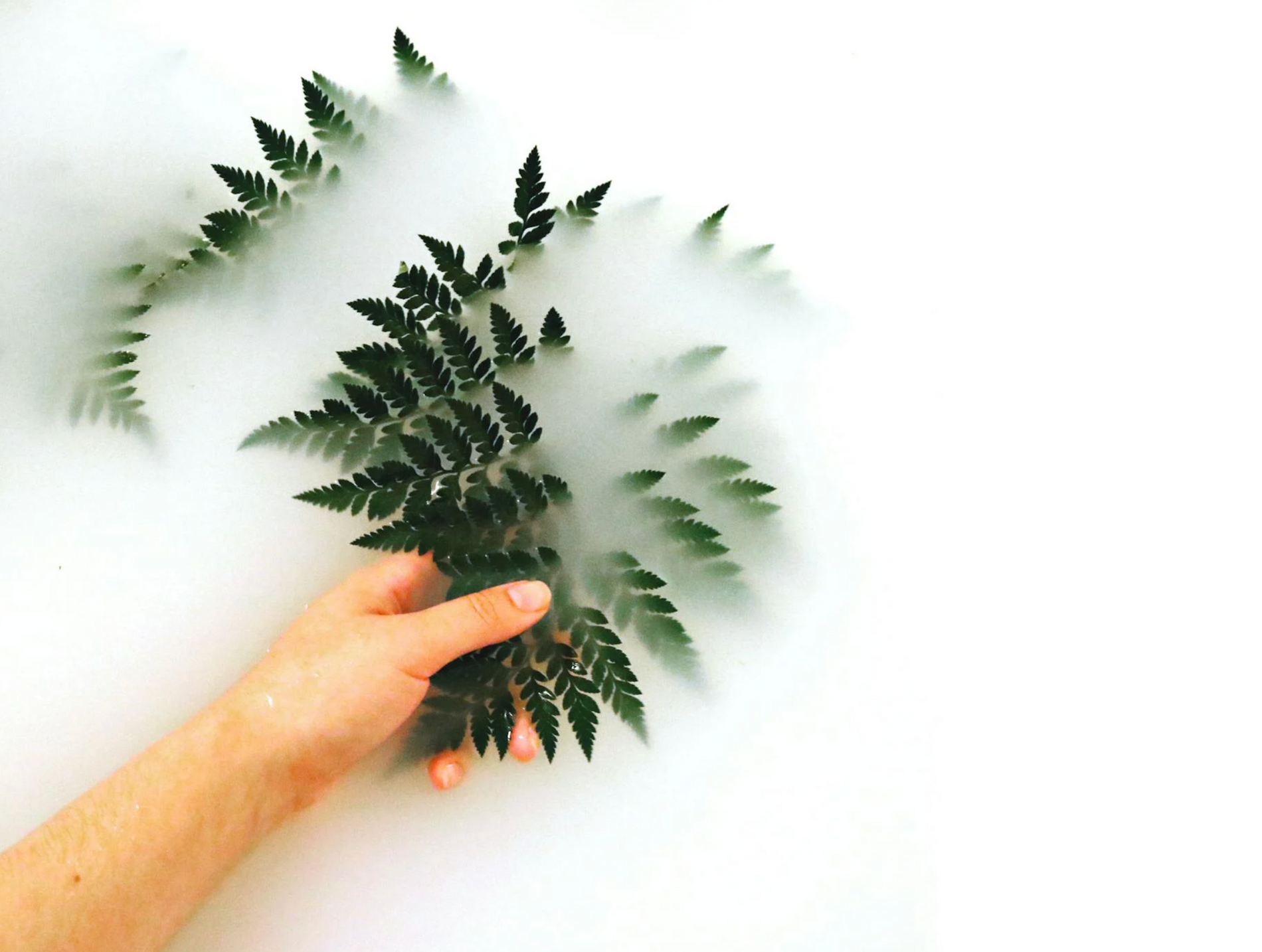 Je skincare routine in de lente