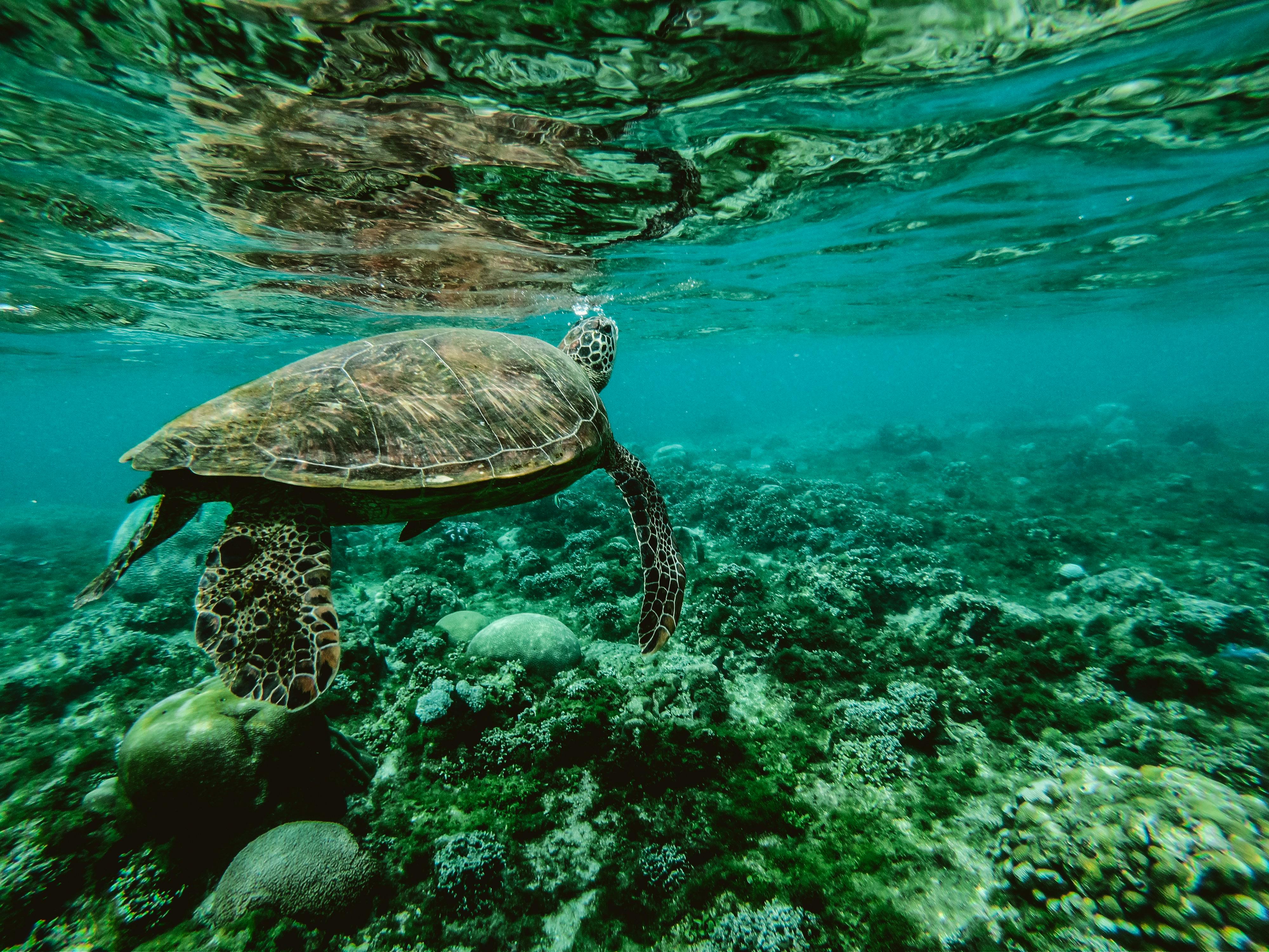 Blue Beauty in 2025: Skincare die onze oceanen beschermt